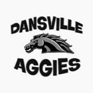 Dansville High School